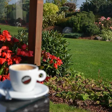 Bazuny Hotel&spa ホテル 3*