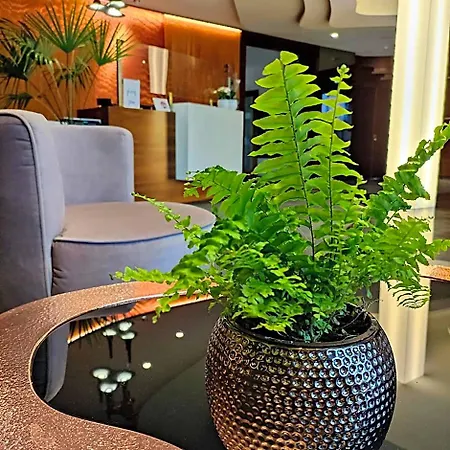 Bazuny Hotel&spa 3*