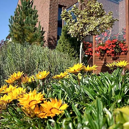 Bazuny Hotel&spa فندق كوشتيجينا