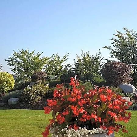 Bazuny Hotel&spa Hotel Kościerzyna
