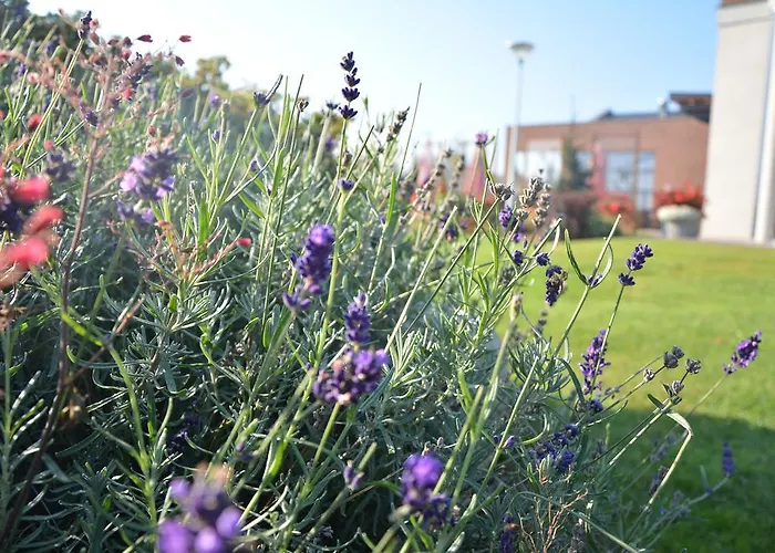 Hotel Bazuny Hotel&spa Kościerzyna