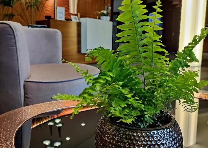 Bazuny Hotel&spa Hotell Kościerzyna